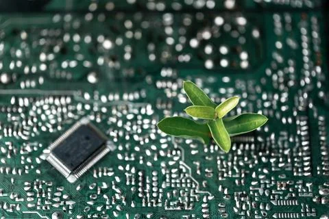 Tree growing on the converging point of computer circuit board. Green compu.. Stock Photos