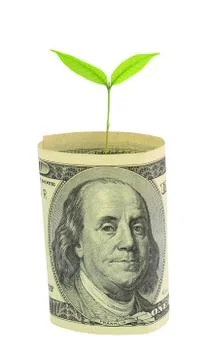 Tree growing from dollar bill Stock Photos