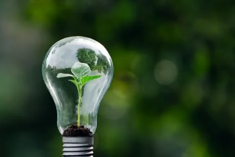 A tree growing in an energy efficient light bulb, concept of environmentally  Foto stock