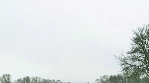 Tree growing in a field. Winter. Stock Footage 60647684