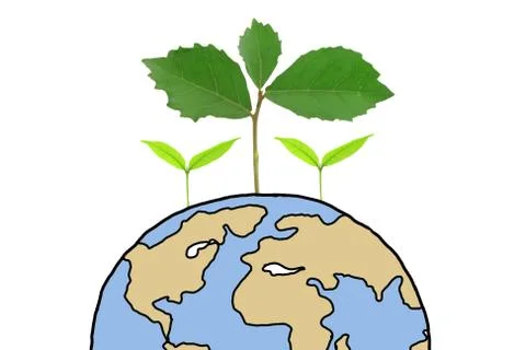 Tree growing on globe Stock Photos