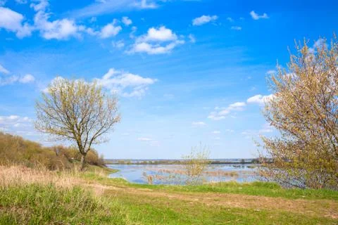 A tree growing on a hill Stock Photos