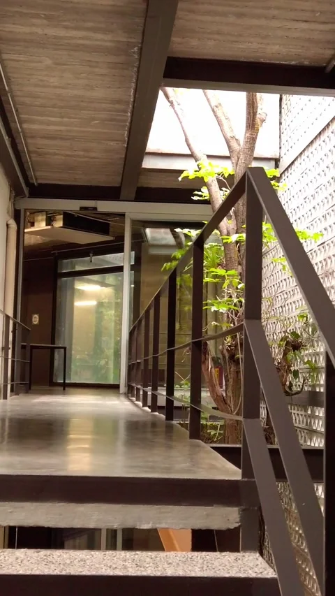 Tree Growing Inside Modern Architectural Courtyard with Patterned Concrete Stock Footage 345101058