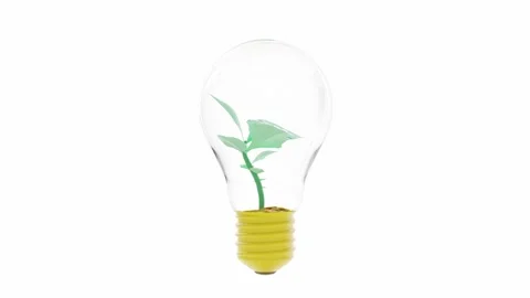Tree growing in light bulb animation on white background. Stock Footage 245132787