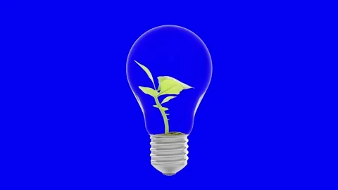Tree growing in light bulb animation on BlueScreen. Video stock 245132788