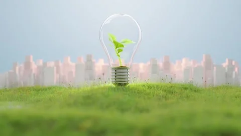 Tree growing in light bulb on grass or meadow animation. Video stock 256140544