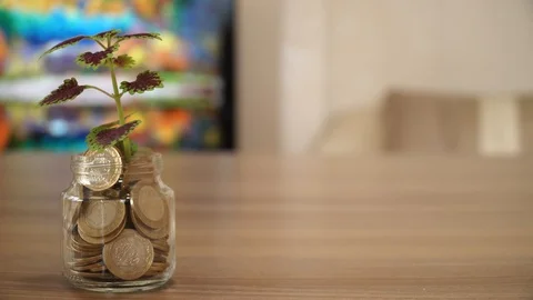Tree Growing on Money Stock Footage 87086826
