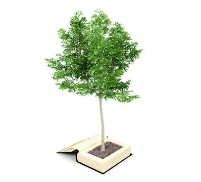 Tree growing from the old book, Knowledge growth from education concept Stock Illustration