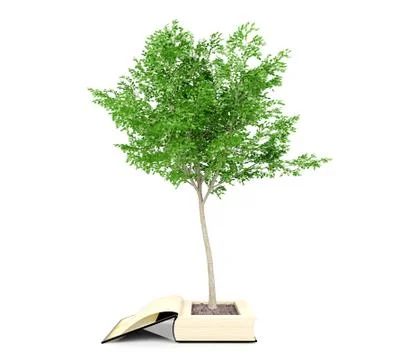 Tree growing from the old book. Knowledge growth from education concept. Stock Illustration