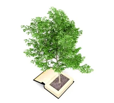 Tree growing from the old book. Knowledge growth from education concept Stock Illustration