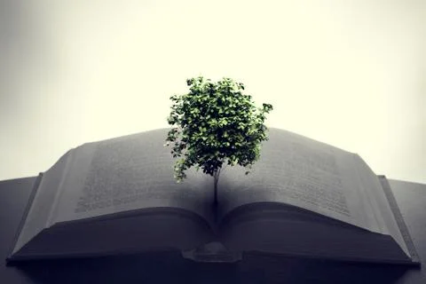 Tree growing from an open book. Education, imagination, creativity Stock Illustration