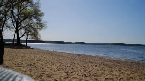 Tree growing by the sea Video stock 107156972