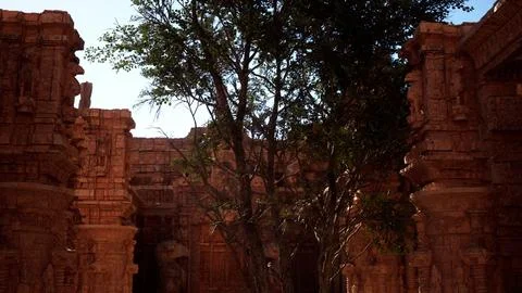 Tree Growing on Side of Building Ilustración de archivo