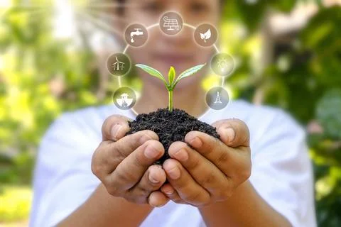 Tree growing on soil in human hands and plant growth factor icon plant grow.. Stock Photos