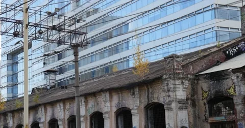 Tree growing through crack in building 库存影片 64275687