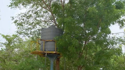 Tree Growing Through Elevated Water Tank in Piplantri Village, Rajasthan Stock Footage 313238122