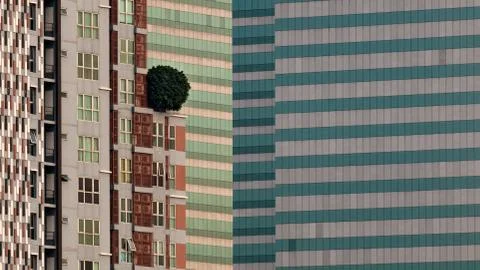 Tree growing on a tower block balcony in Bangkok Stock Photos