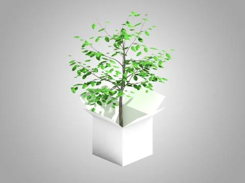 A tree growing from a white cardboard box Stock Illustration