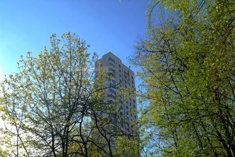 A tree growing in yard of Moscow Stock Photos