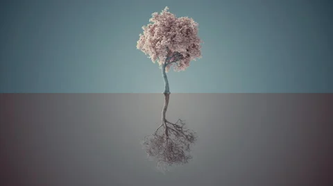 Tree Grows Up and Down, 3d Animation 4k Vidéo 63797775