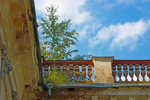 A tree grows on the balcony of an old building. Fotos de archivo