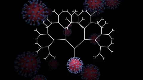 Tree grows from a coronavirus of covid-19 type, which explains how the number of Video stock 129894301