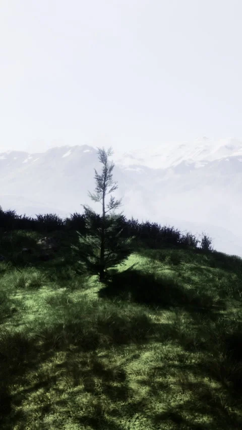 A tree grows on a hill with mountains in the background on a sunny day Video stock 331676035