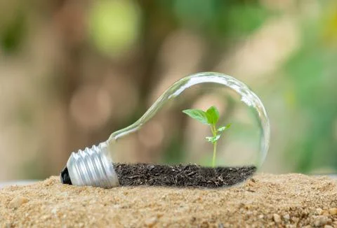 Tree grows in light bulbs on out of focus green background. Stock Photos