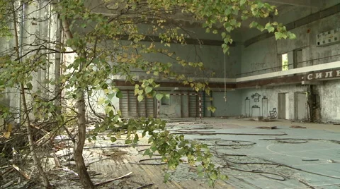 Tree grows in the middle of the gym in the Chernobyl exclusion zone Video stock 41694772