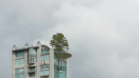 Tree grows out the top of Skyscraper Stock Footage 92696864