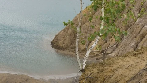 The tree grows over the cliff of a mountain lake Stock Footage 78125227