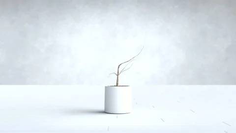 The tree grows shaped like graph, Business and financial concept Stock Footage 189741002