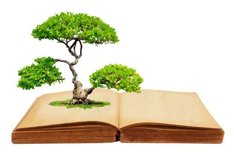 The tree growth from a book Stock Illustration