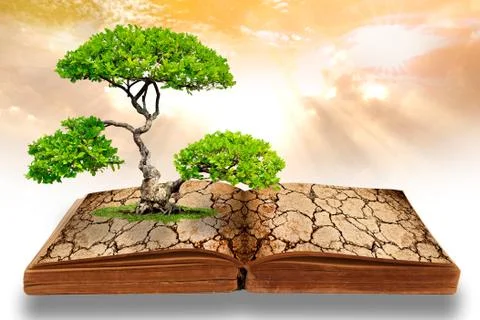 The tree growth from a book Stock Illustration