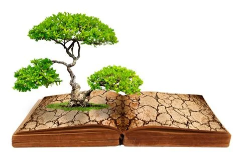 The tree growth from a book Stock Illustration