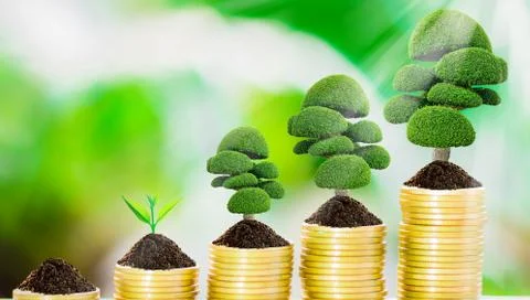 Tree growth on coins Stock Photos