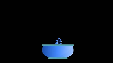Tree growth with green leaf Flowerpot nature plant on Black Background. New.. Stock Footage 257974717