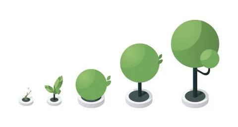 Tree growth stages isometric vector illustration. Green sapling development Stock Illustration
