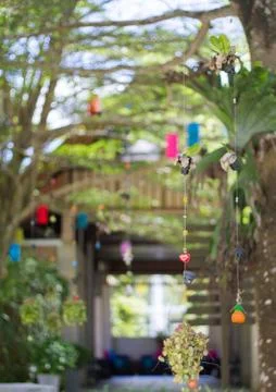 The Tree haging decorations pot outside under tree shade Stock Photos