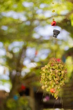 The Tree haging decorations pot outside under tree shade Stock Photos