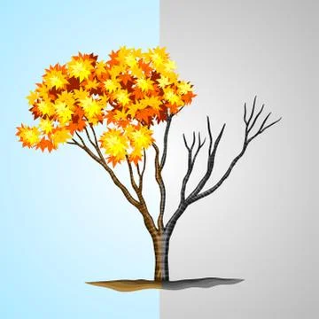 Tree half with leaves and half without Illustrazione stock
