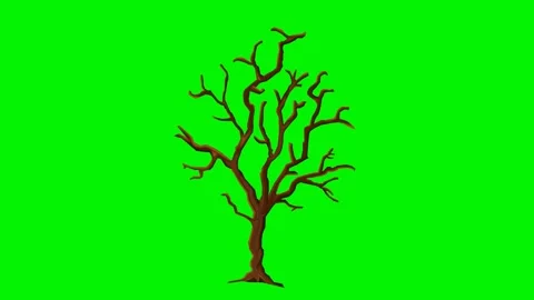 Tree Halloween Background Animation Stock Footage 245057331