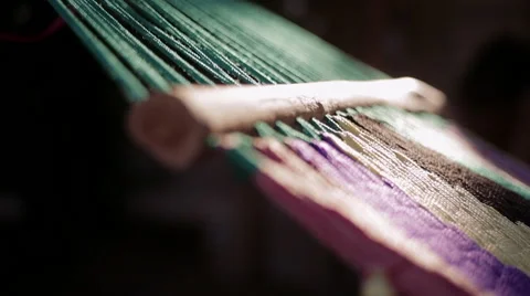 TREE HAMMOCK RELAX TROPICAL Stock Footage 49350502