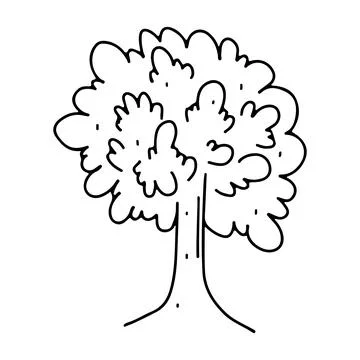 Tree in hand drawn doodle style. Vector illustration on a white background. Stock Illustration