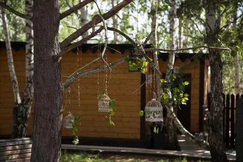 With a tree hanging cells Stock Photos