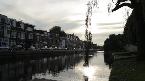 Tree hanging into the River Stockbeeldmateriaal 43075627