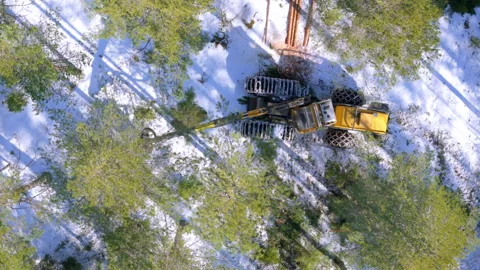 Tree harvester fells tree on snowy forest floor, top down aerial Stock Footage 270277888