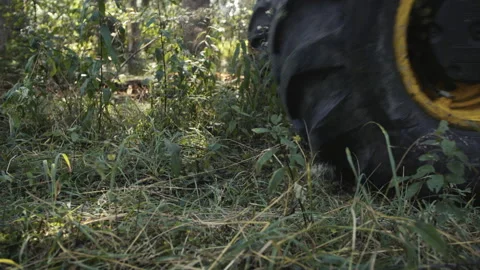 Tree harvester wheels rolling on forest ground Stock Footage 201098375