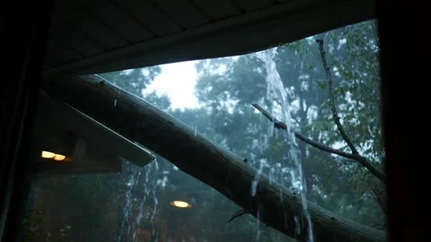 A Tree Has Fallen on a Residential Home and Damaged Gutter 库存影片 344825822