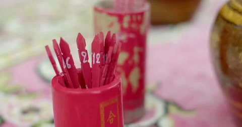 The tree has lucky numbers. Stock Footage 282382511